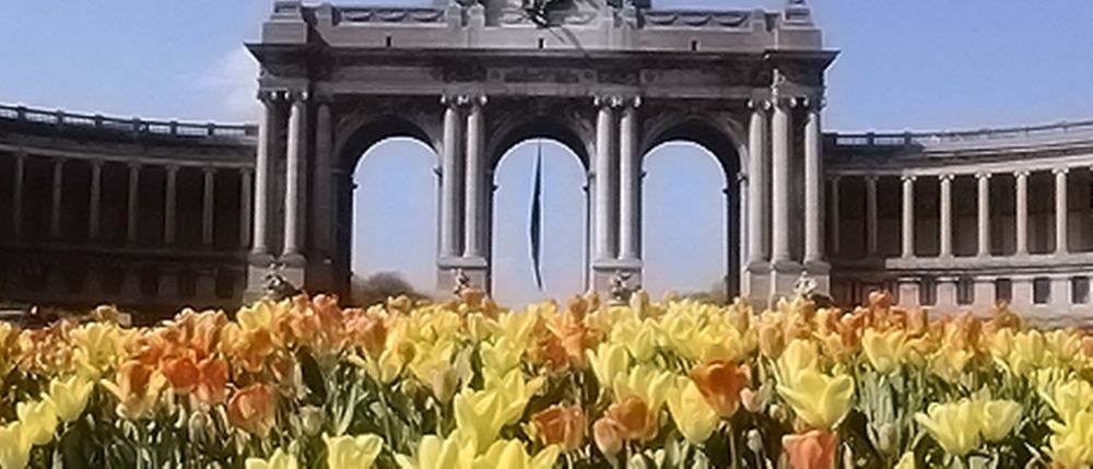 Hotel Brussels Groot Bijgaarden Exteriér fotografie